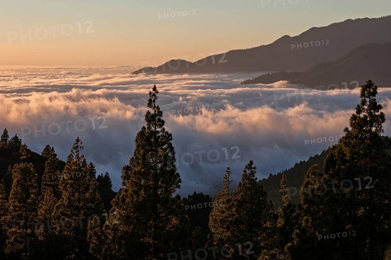 View onto Passat clouds above the Valle Aridane