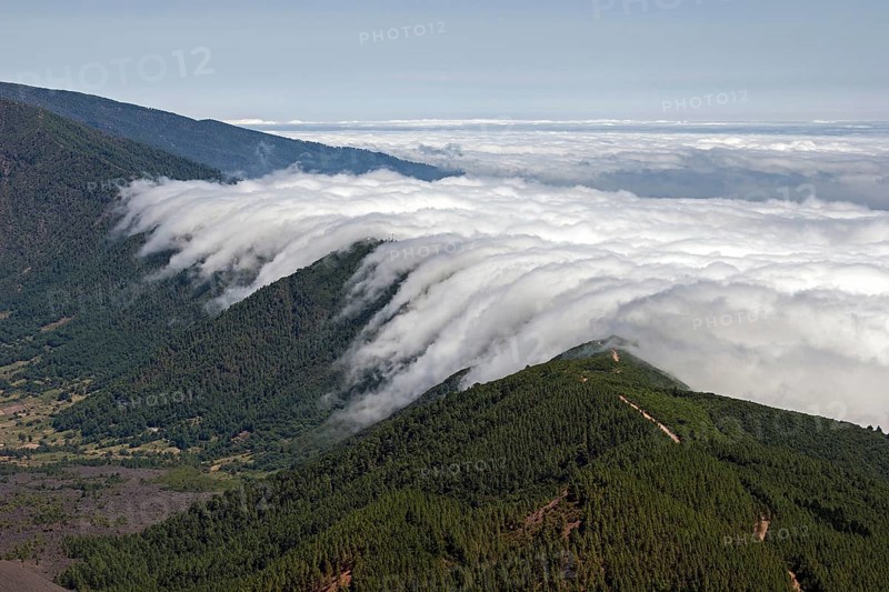 View from Pico Birigoyo onto the pine forest and the waterfall of clouds above the Cumbre Nueva
