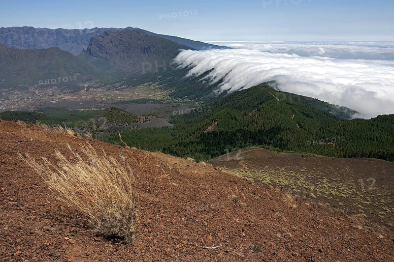 View from Pico Birigoyo onto the pine forest and the waterfall of clouds above the Cumbre Nueva