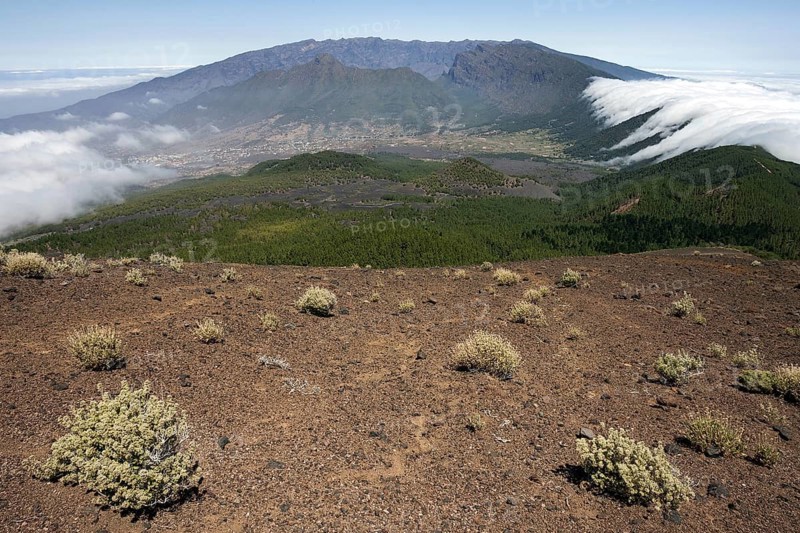 View from Pico Birigoyo onto the pine forest and the waterfall of clouds above the Cumbre Nueva