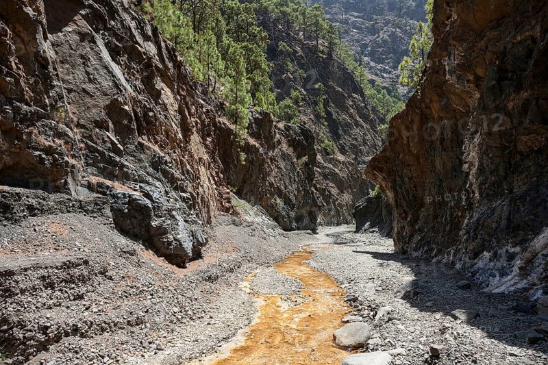 Barranco de Las Angustias with ferrous water