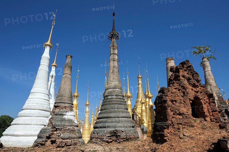 Pagoda Forest