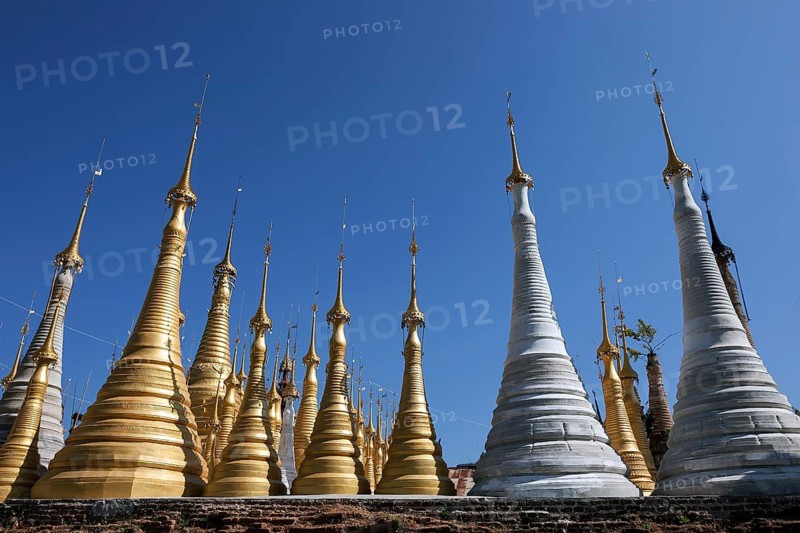 Pagoda Forest