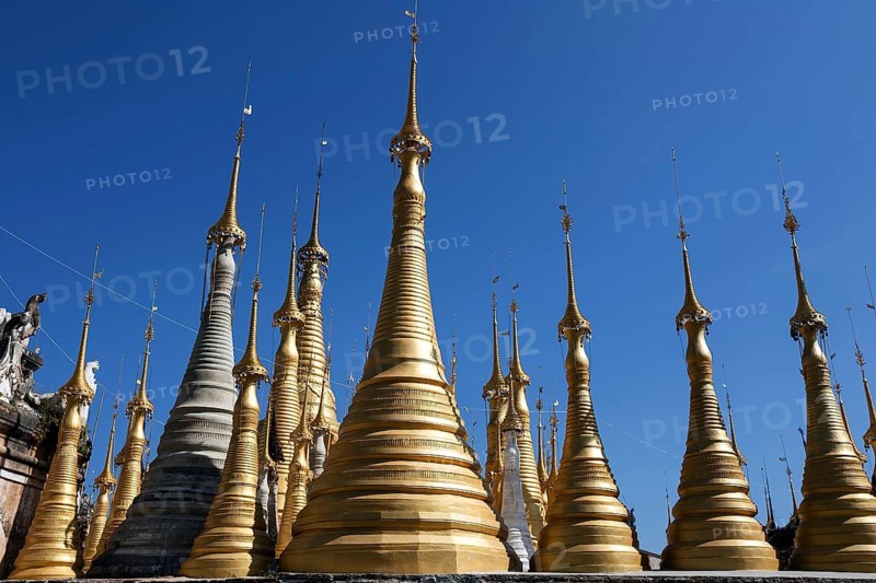 Pagoda Forest