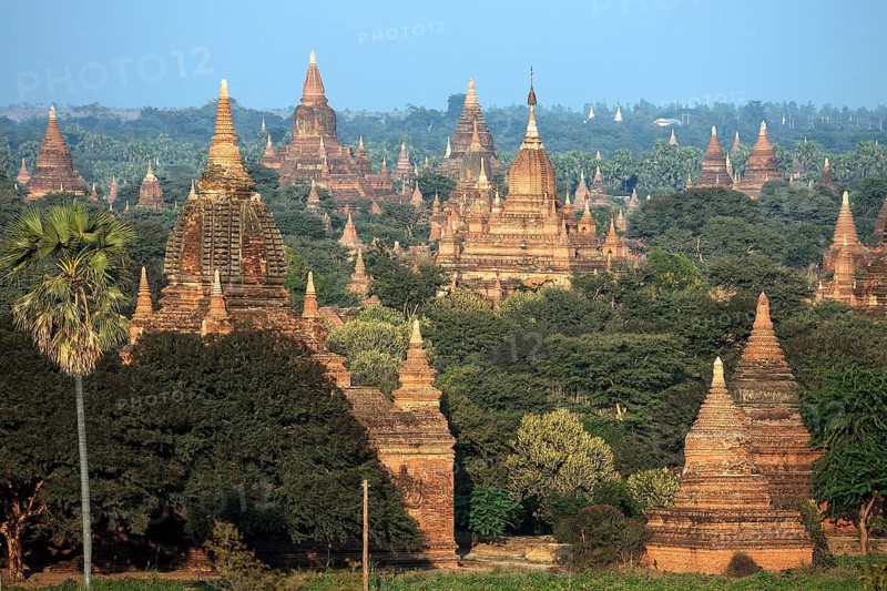 View of pagodas