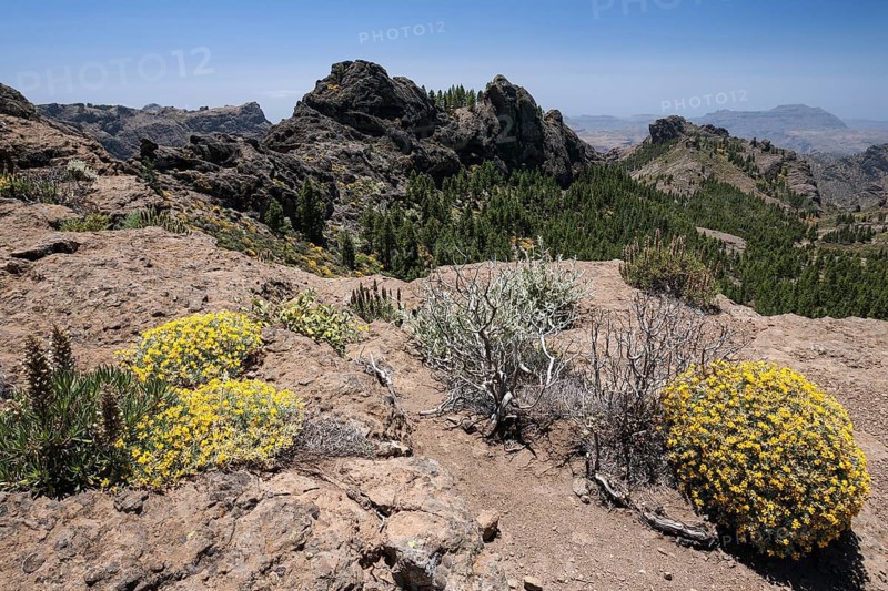 View from the hiking route to Roque Nublo Mountain to the west of Gran Canaria