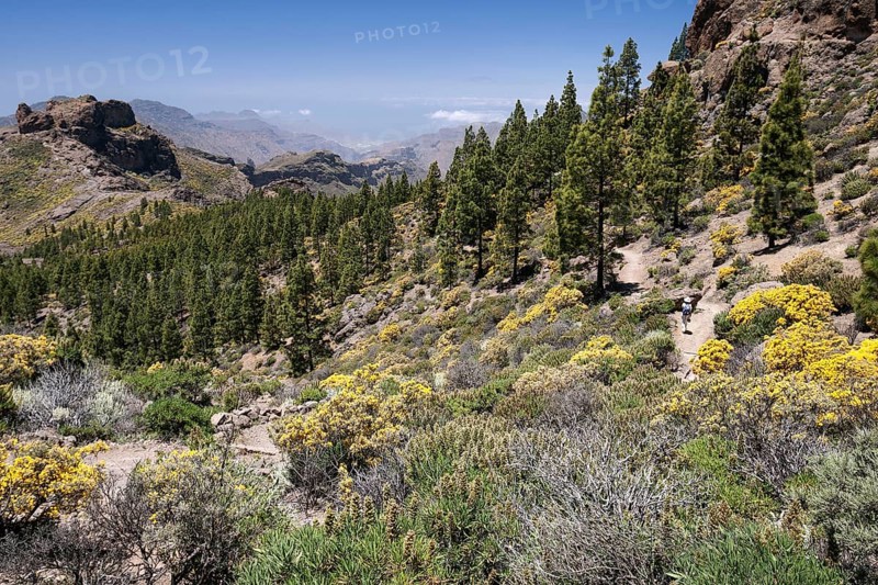 View to the hiking trail around the Roque Nublo