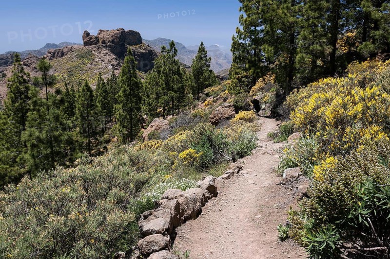 Trail around the Roque Nublo