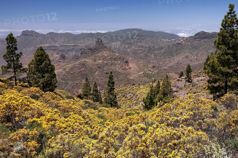 View from the trail to the Roque Nublo