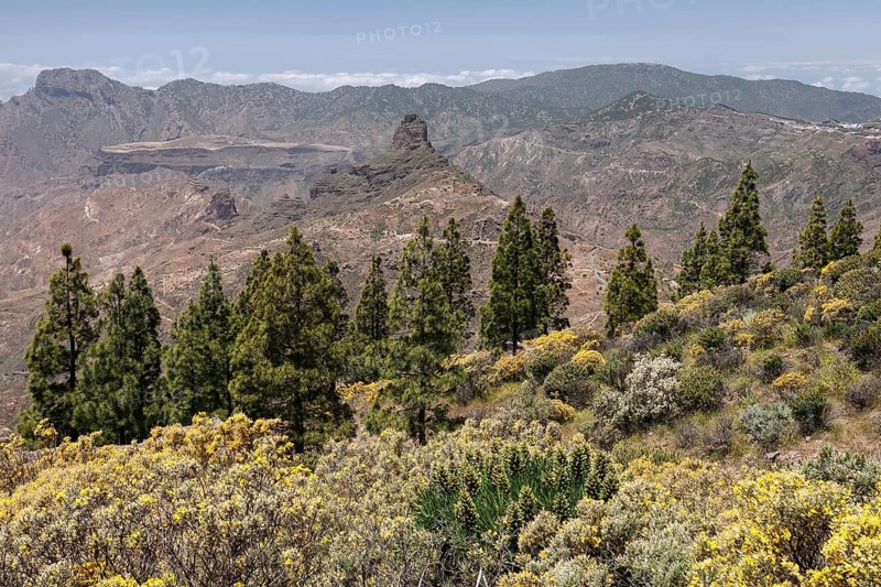 View from the trail to the Roque Nublo