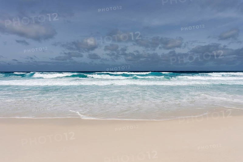 Beach and the sea