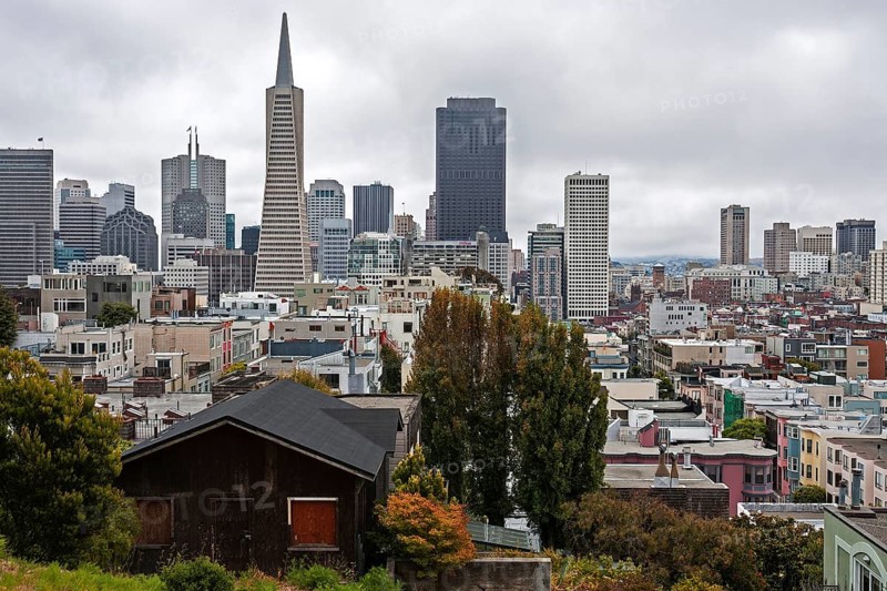 View of financial district from Telegraph Hill