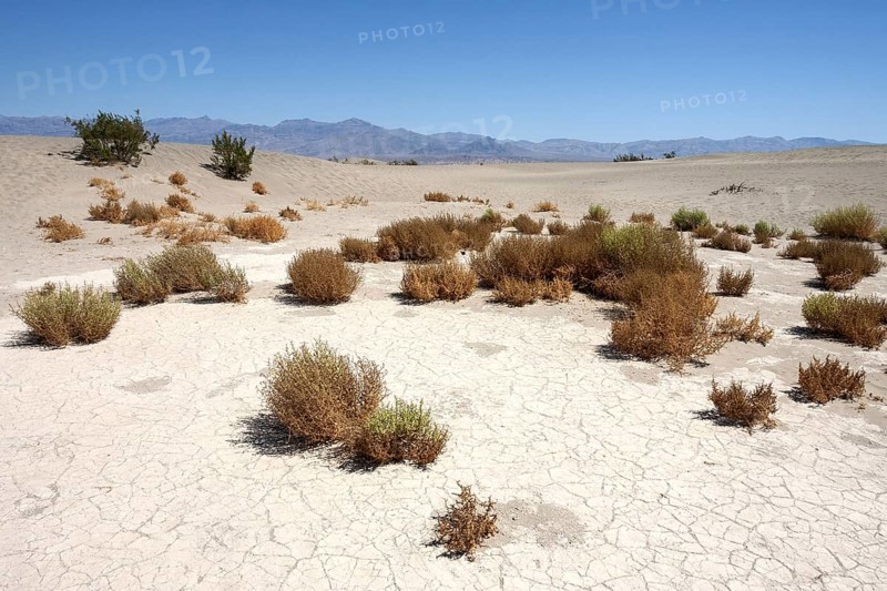 Mesquite Flat Sand Dunes