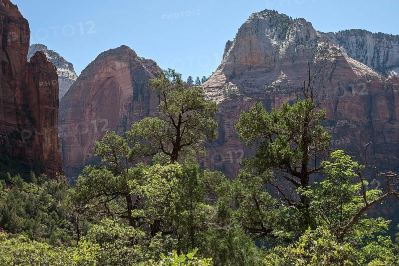 View towards vegetation and sandstone cliffs from Emerald Pools Trail