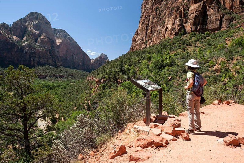 Hiker looking at info board