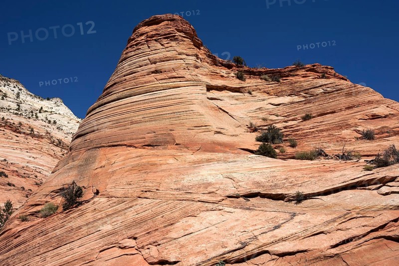Petrified Sand Dunes in Clear Creek at Zion-Mount Carmel Highway