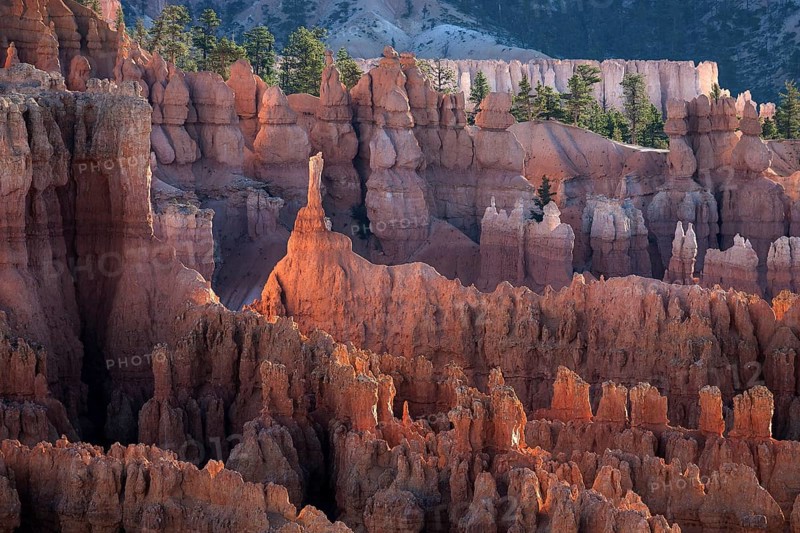 View of Bryce Amphitheater from Inspiration Point