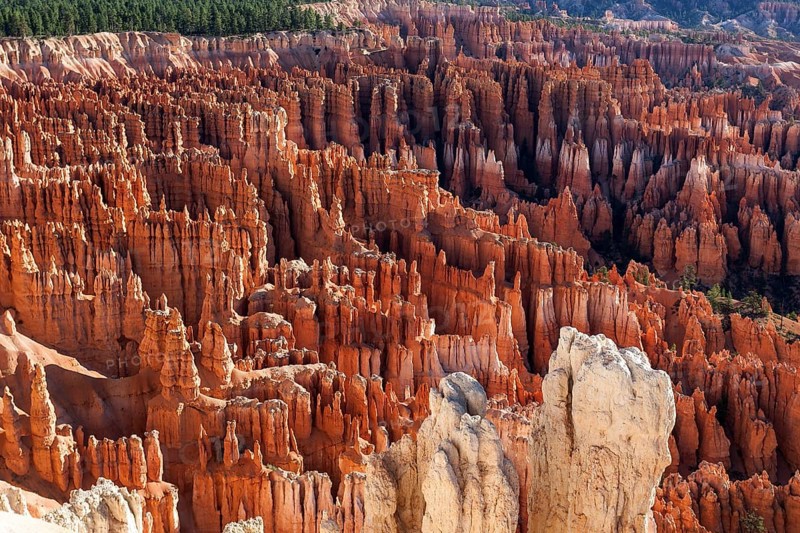 View of Bryce Amphitheater from Inspiration Point
