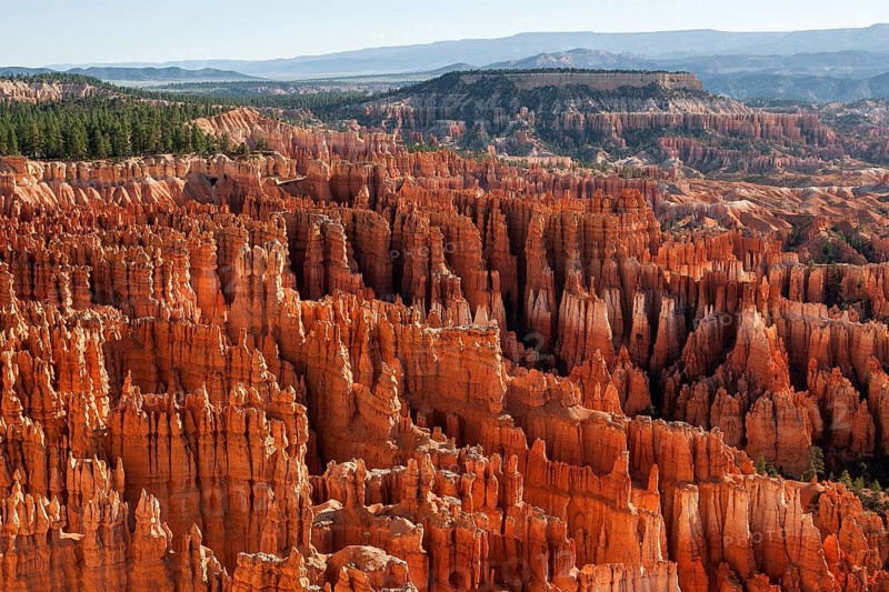 View of Bryce Amphitheater from Inspiration Point