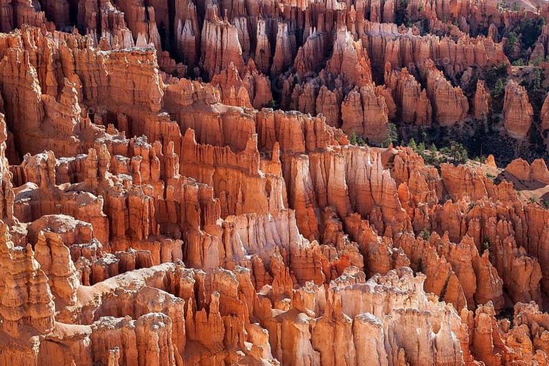 View of Bryce Amphitheater from Inspiration Point