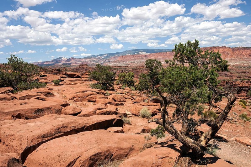 Landscape and rock formations near Gossenecks Overlook
