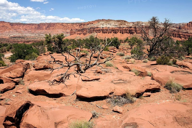 Landscape and rock formations near Gossenecks Overlook