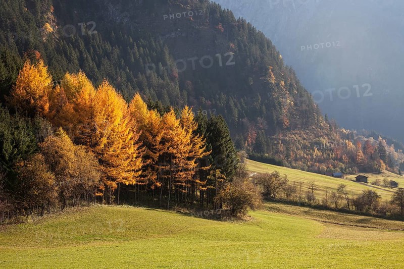 Autumnal colours