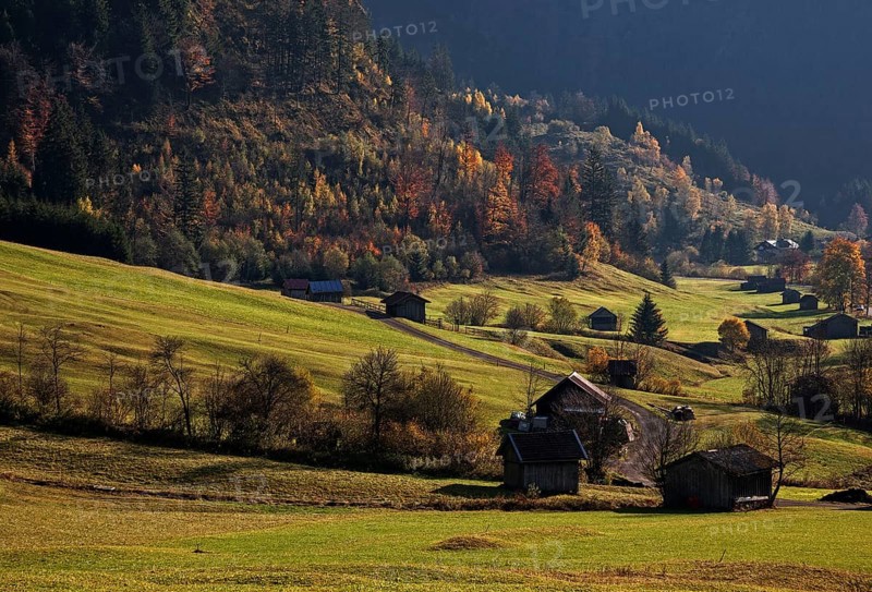 Autumnal colours