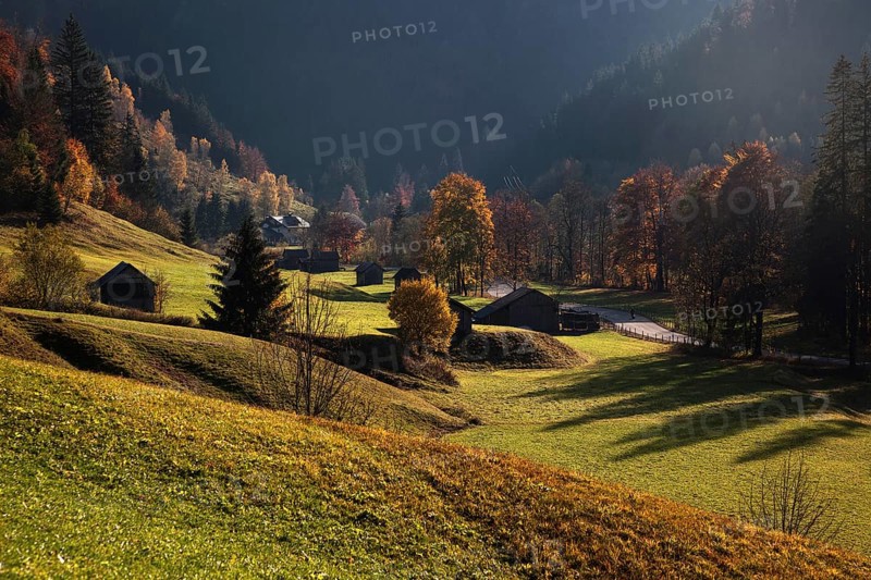 Autumnal colours