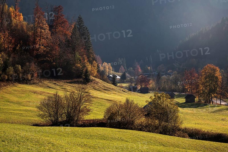 Autumnal colours