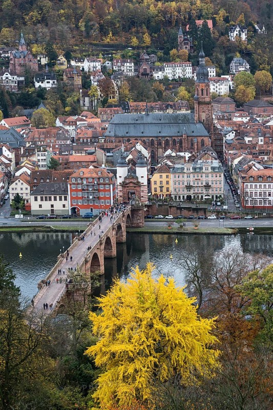 View from Philsophenweg to Neckar
