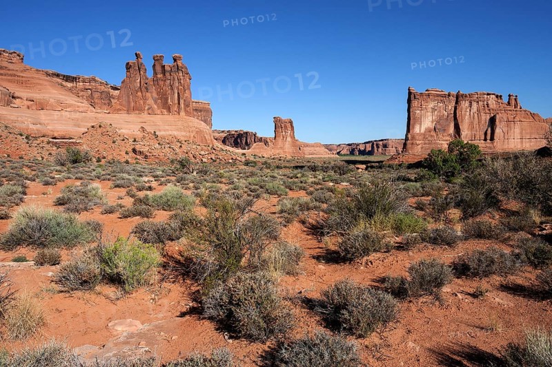 Courthouse Towers