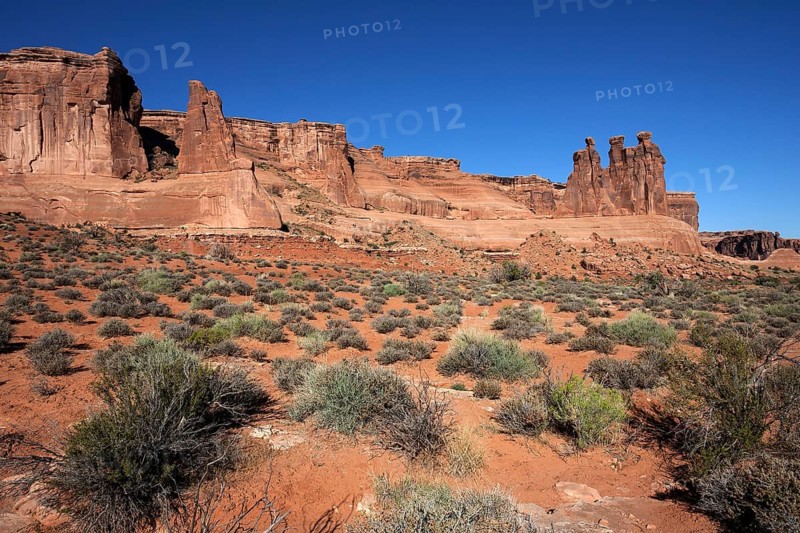 Courthouse Towers