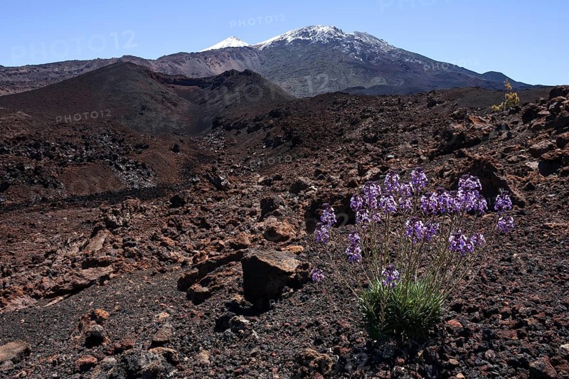 Volcanic landscape