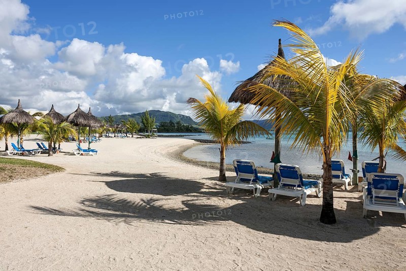 Beach with palm trees and sun loungers