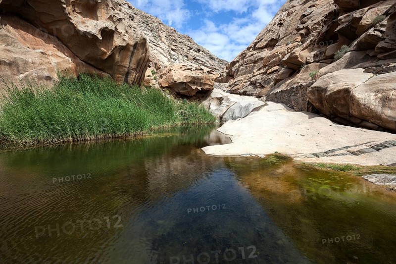 River with reeds in the Barranco de las Penitas