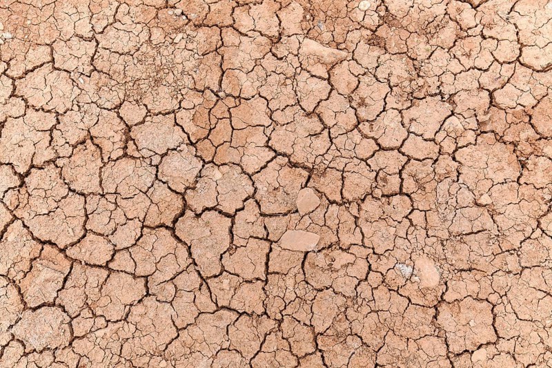 Dried earth