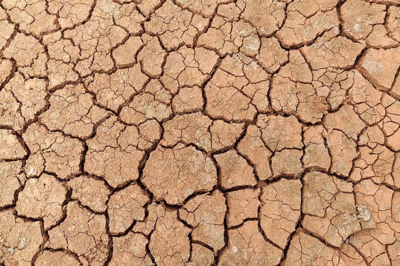 Dried earth