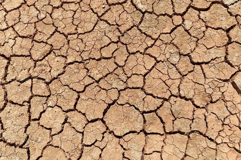 Dried earth