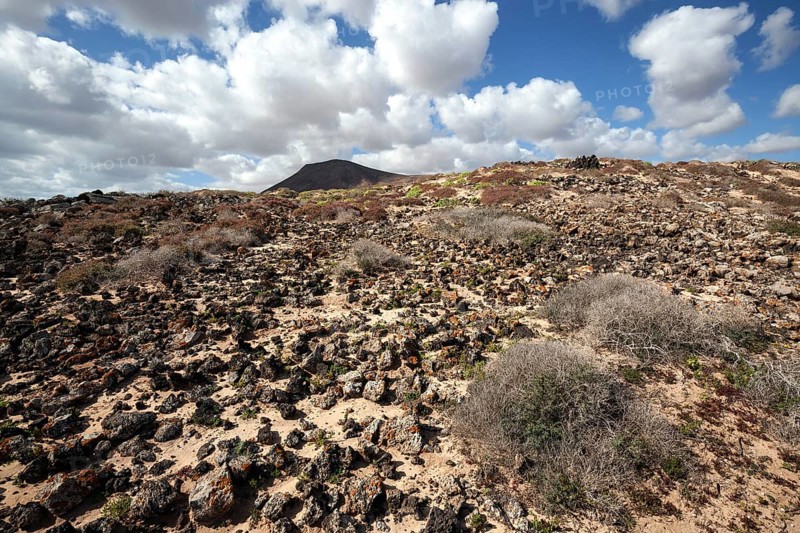 Barren landscape in the southern area of the Corralejo Natural Park