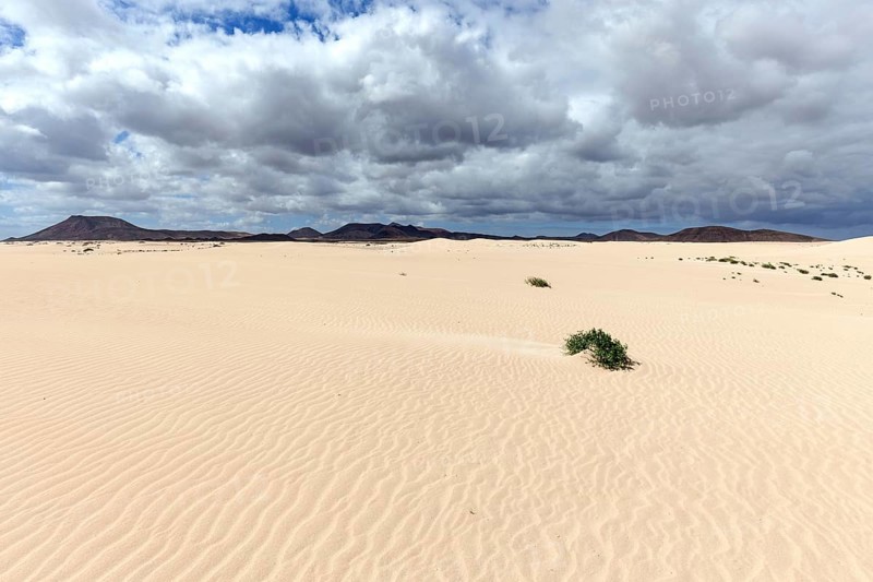 Sand dunes