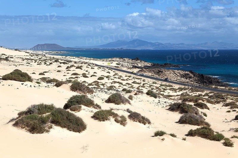 Road FV 1 in the wandering dunes El Jable