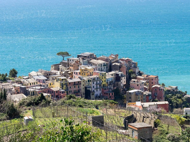 Corniglia