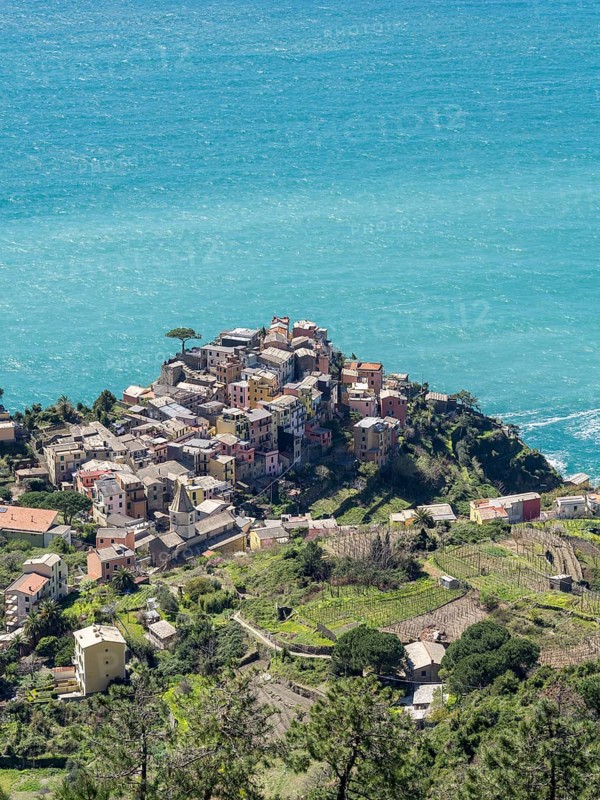 Corniglia