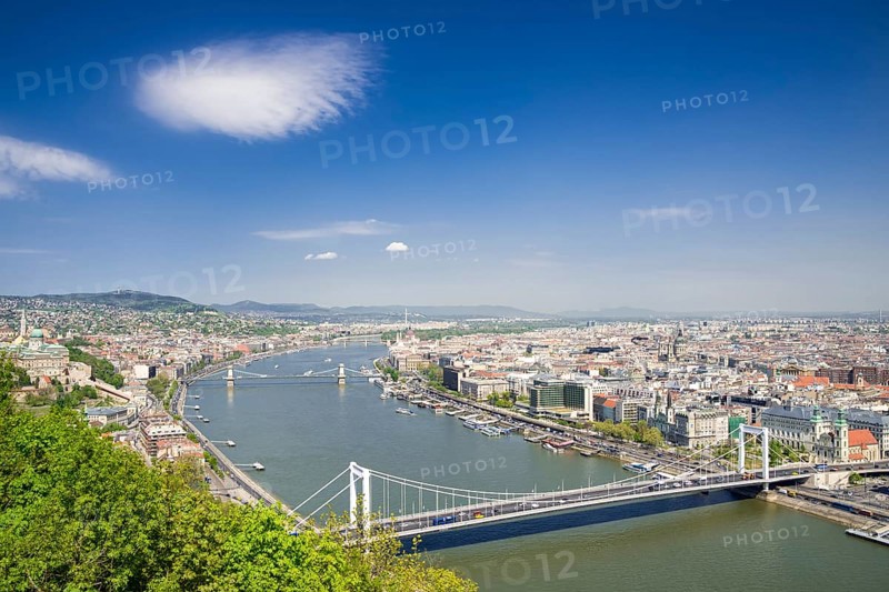 Cityscape with Elisabeth Bridge and the Danube