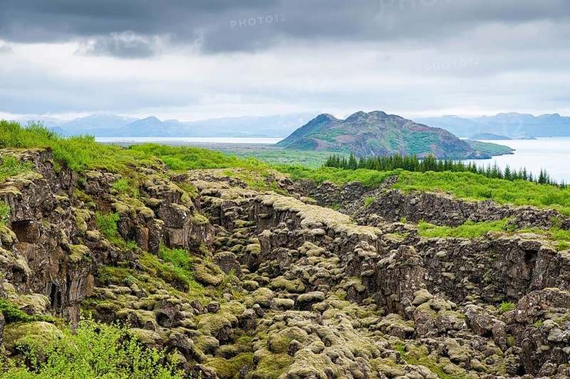 Lava field in the national park Pingvellir