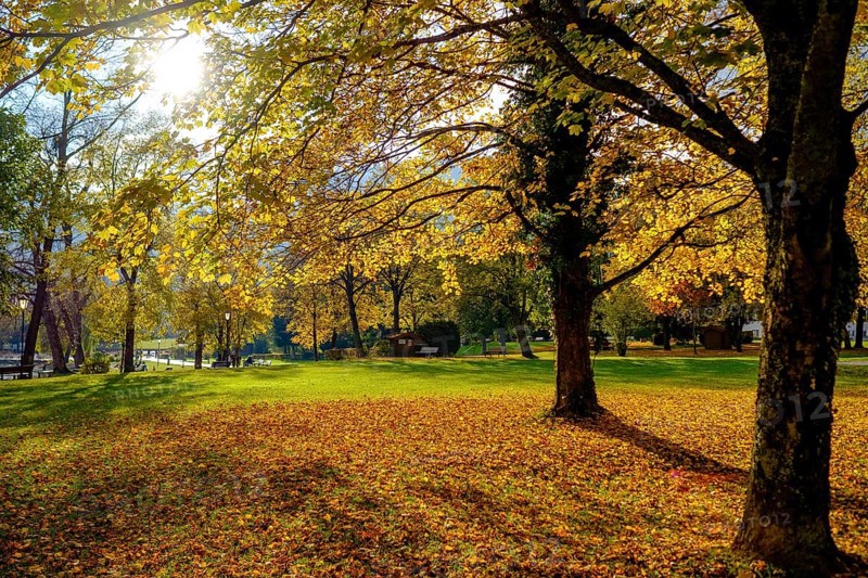 Park