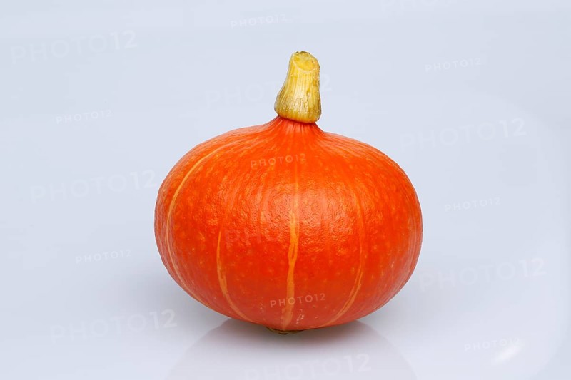 Hokkaido squash