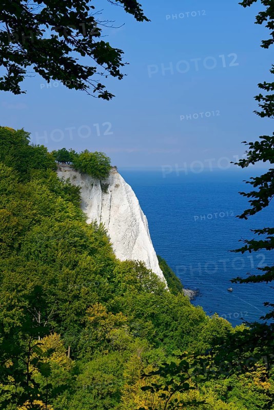 Views of the Konigstuhl