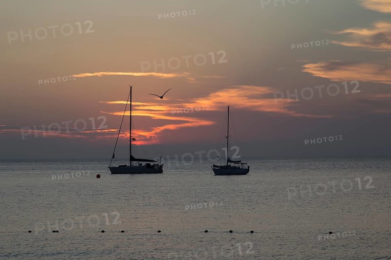 Two sailboats at sea at sunset